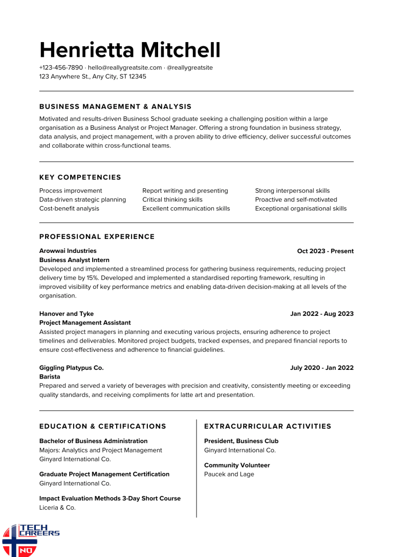 Norwegian CV Example